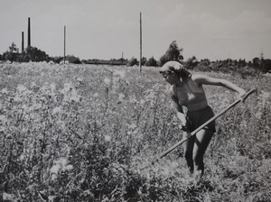 5. 8. 1951 Marie Makovcová z brigády Žilina